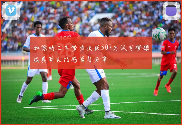 加德纳三年努力收获507万认可梦想成真时刻的感悟与分享