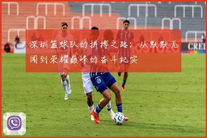 深圳篮球队的拼搏之路：从默默无闻到荣耀巅峰的奋斗纪实