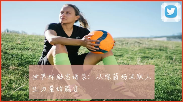 世界杯励志语录:从绿茵场汲取人生力量的箴言