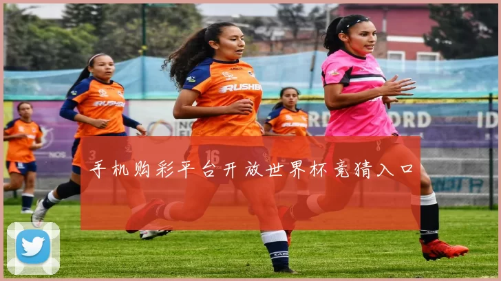 手机购彩平台开放世界杯竞猜入口