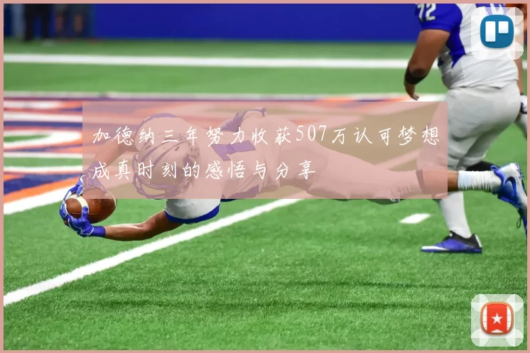 加德纳三年努力收获507万认可梦想成真时刻的感悟与分享