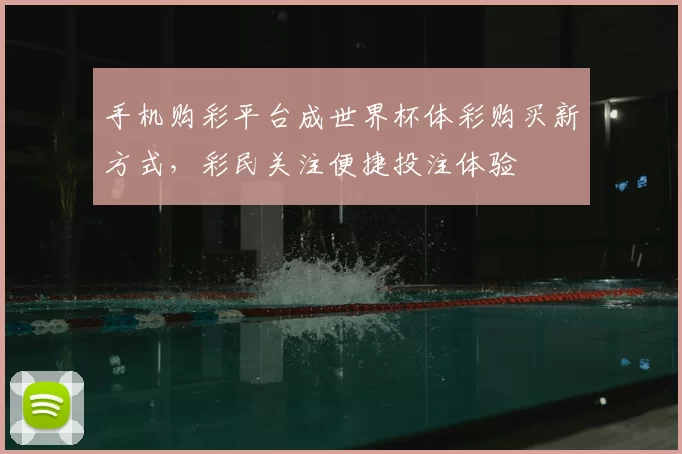 手机购彩平台成世界杯体彩购买新方式，彩民关注便捷投注体验