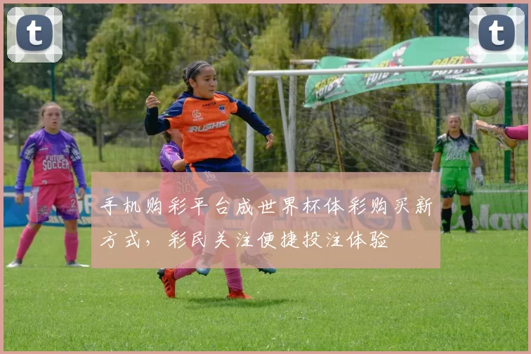 手机购彩平台成世界杯体彩购买新方式,彩民关注便捷投注体验