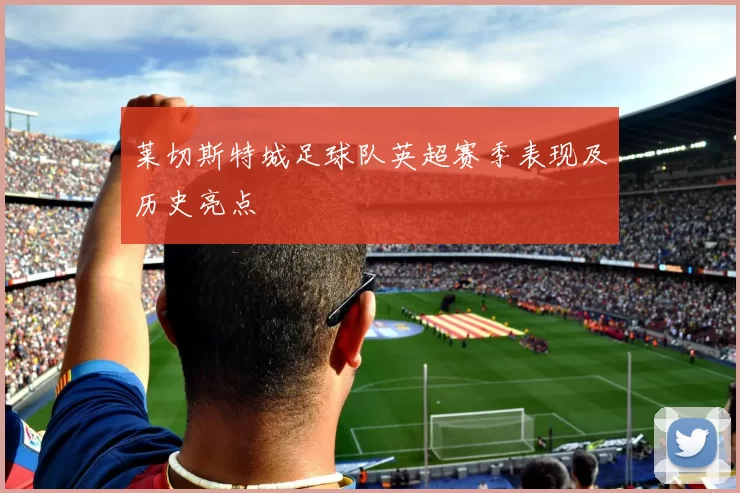 莱切斯特城足球队英超赛季表现及历史亮点