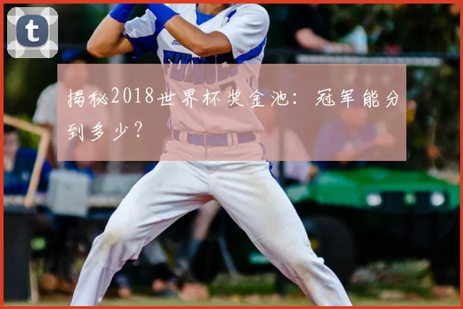 揭秘2018世界杯奖金池：冠军能分到多少？
